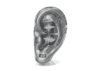 Naklejka premium Human Ear Anatomy Engraving for Medical Science Design