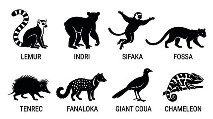 Obraz premium black and white vector silhouette set of traditional madagascar animal.