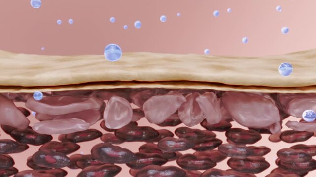 Skin care products enhance the absorption and repair of skin essence.