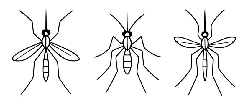 Mosquito icon set in outline style, for animal coloring designs