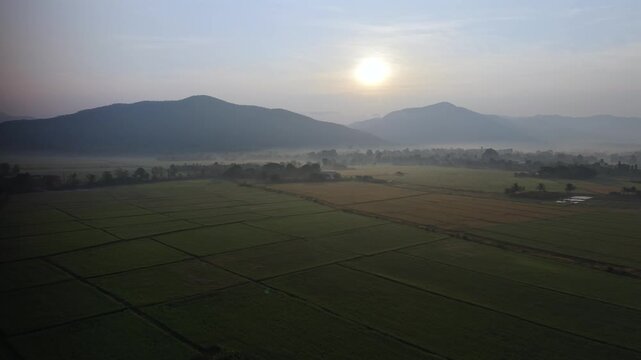 High quality 4K 60fps drone footage capturing an atmospheric sunrise over a vast agricultural landscape in Southeast Asia. The shot reveals expansive dark green rice fields divided into traditional pl