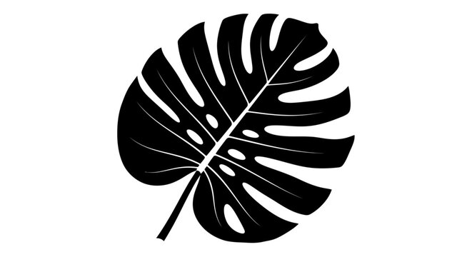 Monstera leaf tropical plant silhouette.