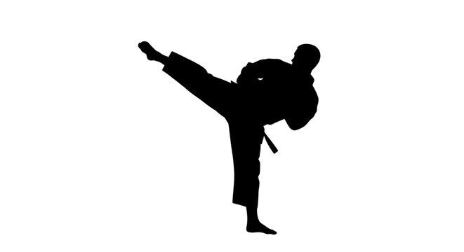 Martial arts athlete kicks high.