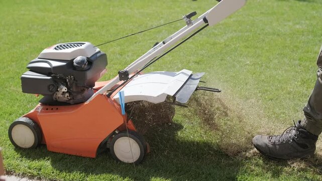 A man uses a professional gasoline scarifier to remove moss and thatch from a green lawn in a private house backyard.