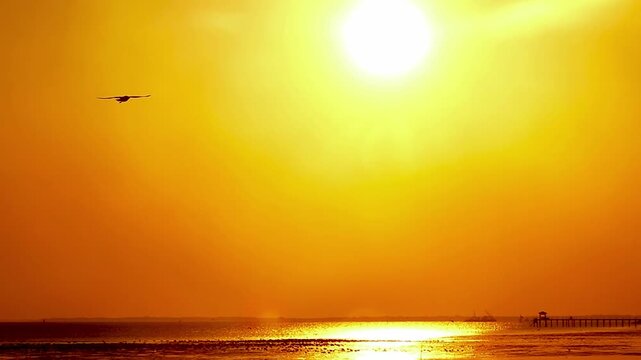Seagulls fly and perch in ultra slow motion at 240 fps against a vivid orange sunset, with a long pier on the horizon and shimmering water, capturing calm coastal atmosphere and cinematic detail.