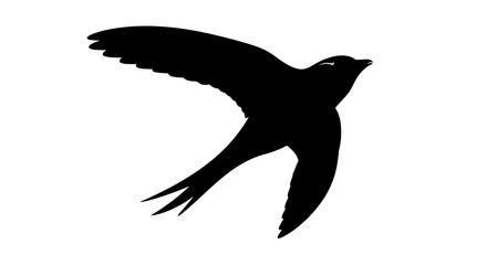 Naklejka premium Bird Silhouette in Flight Aerial View.