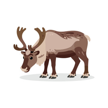 Illustration of a cartoon reindeer with antlers looking down on a white background
