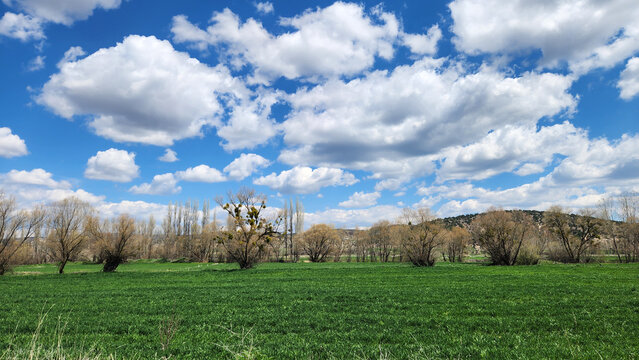 A spring landscape of the Phrygian Valley near K&uuml;mbet, featuring lush green fields stretching beneath vast skies filled with white cumulus clouds, capturing the fresh and vibrant atmosphere