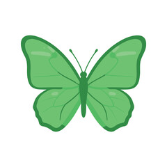 Fototapeta premium Illustration of a spring green butterfly with translucent wing details and long antennae