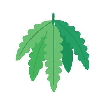 Fern frond vector illustration in light and dark shades of green on a white background