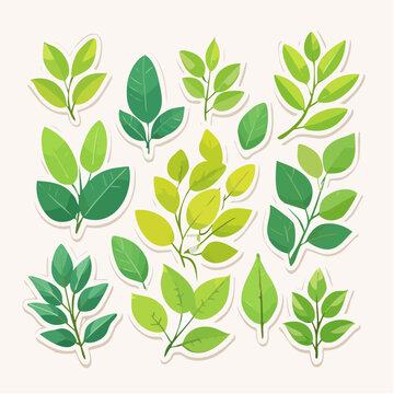 Collection of Green Leaves and Branches