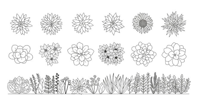 Floral Top View and Garden Border CAD Blocks Set &ndash; Detailed Flower Plan Symbols and Plant Elevation Line Drawings