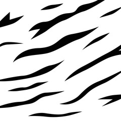 Obraz premium ZEBRA BLACK AND WHITE PATTERN TEXTURE BACKGROUND
