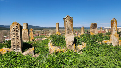 Fototapeta premium Historic Turkish cemetery in Kümbet Village,, featuring Seljuk and early Ottoman gravestones that combine Islamic symbolism with earlier Turkic “balbal”