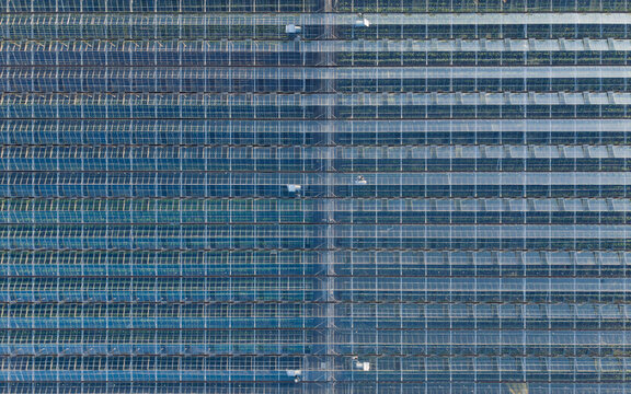 Aerial view of a large industrial greenhouse complex featuring a repetitive pattern of glass roofs and metal structures.