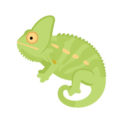 Fototapeta premium The colorful chameleon in this illustration has light green skin with pale yellow markings along its body and a curled tail.
