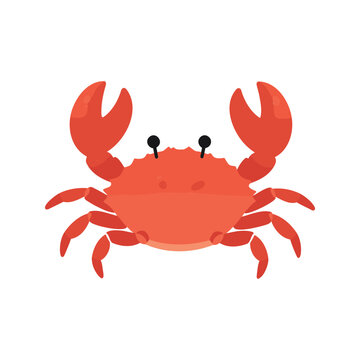 Illustration of a crab with large claws and small black eyes on a white background