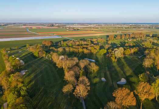 Aerial view of Westfriese Golfclub with green fairways, sand bunkers, and surrounding tulip fields under a clear sky Westwoud, Noord-Holland, Netherlands.