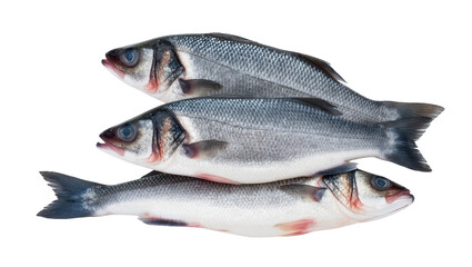 Fototapeta premium Raw silver fish stack three whole fish silvery scales, fresh seafood