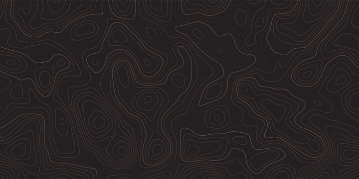 The stylized height of the topographic contour in lines and contours. The concept of a conditional geography scheme and the terrain path. Ultra wide size. Gray on green colors. Vector illustration