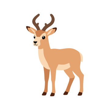 Pronghorn are artiodactyl mammals native to interior western and central North America that can run at speeds of up to 55 miles per hour.