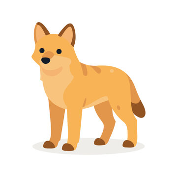 The dingo stands on a white background in this illustration, and they are known for their intelligence and adaptability to different environments.