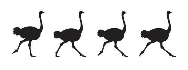 Obraz premium Walking Ostrich Bird Silhouette Illustrations Set