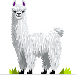 Fototapeta premium A fluffy white alpaca with a thick coat of soft warm premium wool stands gracefully on grass in a minimalist, clean vector illustration style
