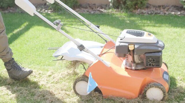 A man uses a professional gasoline scarifier to remove moss and thatch from a green lawn in a private house backyard.