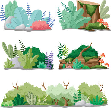 Forest Plants and Mushrooms Elements Collection