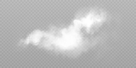 Clouds of white smoke or steam with realistic texture on transparent background. Vector smoke to simulate fog, cold breath, magic effect or explosion. © MAKSYM