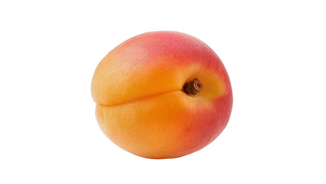 Ripe orange-red apricot with stem and subtle blush