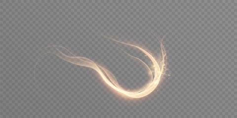 A golden magical comet with lots of sparkling dust and shimmering light effects. A magical golden wind for web design. Vector graphics. © MAKSYM