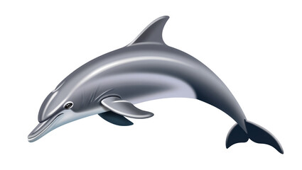 Obraz premium Gray playful dolphin swimming with dark fin and eye detail