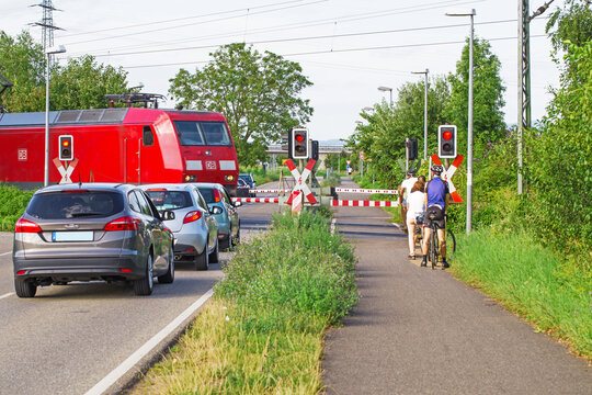Cars stop at train crossing while bicycles wait near red signals on a sunny day
