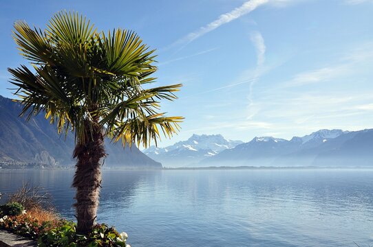 Genfer See bei Montreux