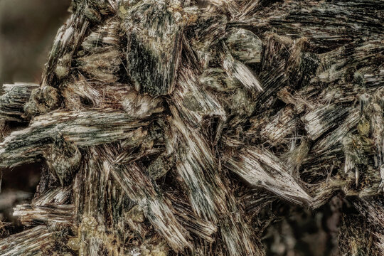 Macro byssolite (actinolite) fibrous acicular crystals on matrix from Eastern Alps, Austria, microscope, 5x, 7.2mm field, focus stacking