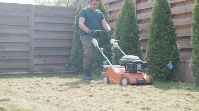 A man uses a professional gasoline scarifier to remove moss and thatch from a green lawn in a private house backyard.