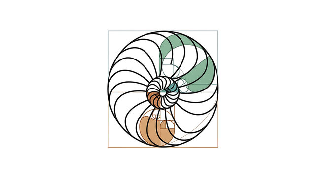 Stylized Nautilus Shell Spiral Geometry Nature Vector Art
