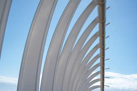 Te Rewa Rewa Bridge