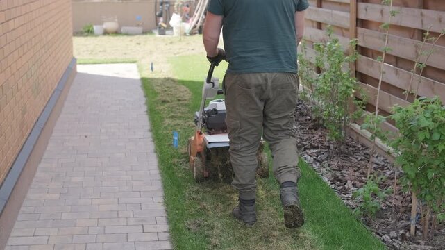 A man uses a professional gasoline scarifier to remove moss and thatch from a green lawn in a private house backyard.