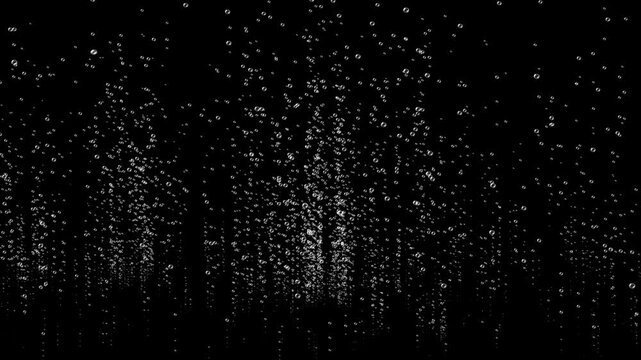 Liquid Bubbles Floating Animation on black background.