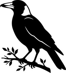 Obraz premium Australian magpie silhouette vector illustration