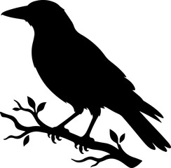 Obraz premium Australian magpie silhouette vector illustration