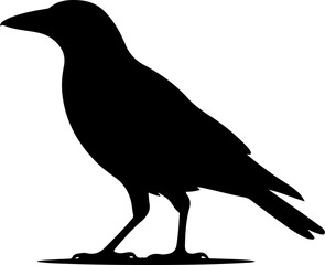 Obraz premium Australian magpie silhouette vector illustration