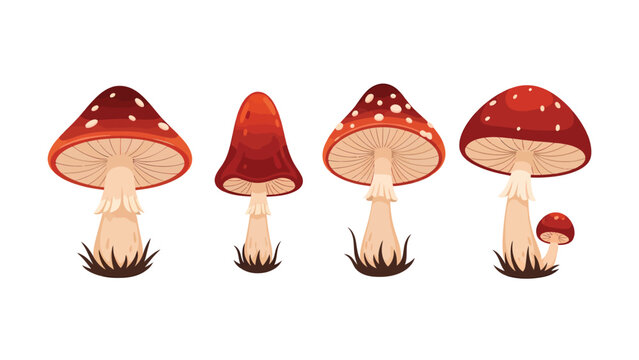 Collection of Cartoon Red and White Fly Agaric Mushrooms Illustration