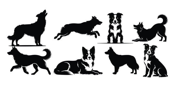 Border Collie Dog Silhouette Set &ndash; Herding Dog Poses Black and White Vector Collection