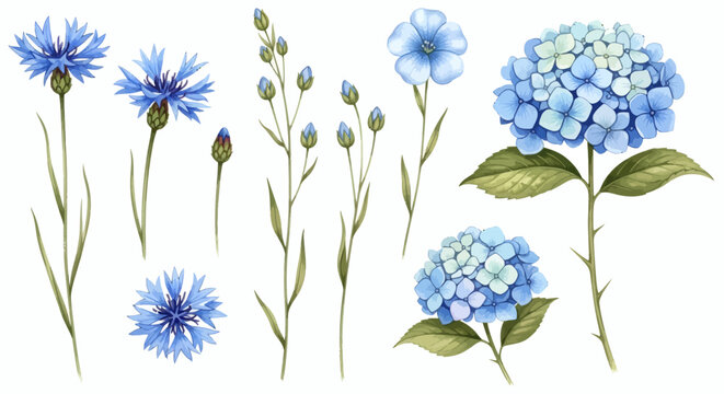 Elegant collection of hand-painted watercolor blue flowers, including vibrant cornflowers and lush hydrangeas, perfect for spring and summer botanical designs