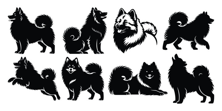 Keeshond Dog Silhouette Set Vector Collection | Multiple Fluffy Spitz Breed Pose Outlines for Adobe Stock