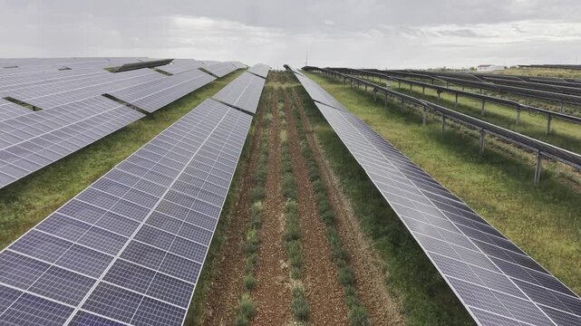 Plano a&eacute;reo de drone de una Planta de energ&iacute;a Termosolar en Espa&ntilde;a. Granja Solar con cultivo ecologico, agrovoltaica